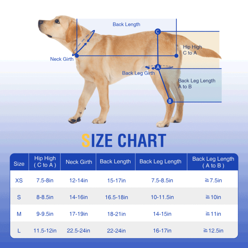 Dog Hind Leg Sleeves to Prevent Licking