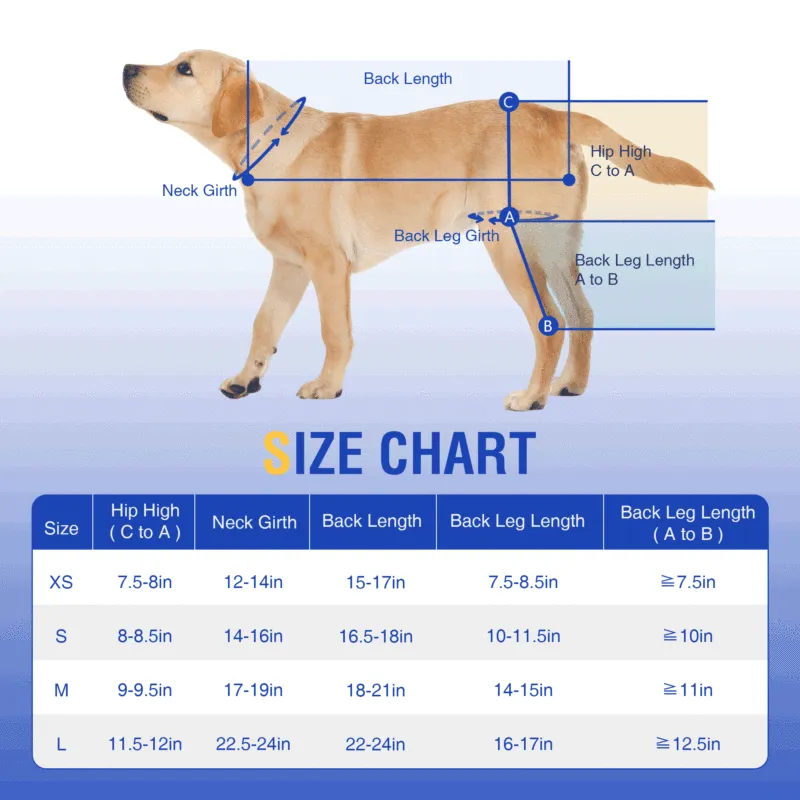 Dog Hind Leg Sleeves to Prevent Licking