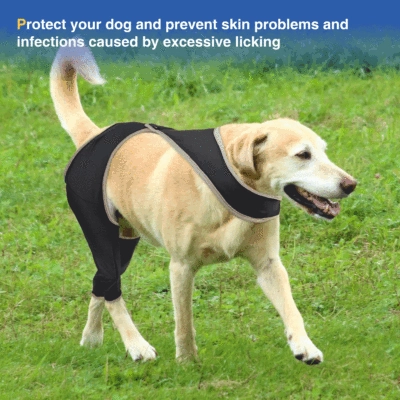 Dog Hind Leg Sleeves to Prevent Licking 02