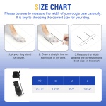 No Knuckling Boot Brace for Dogs