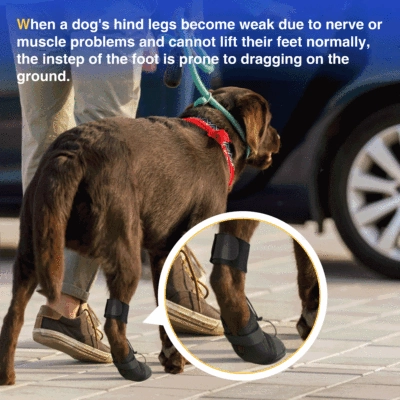 No Knuckling Boot Brace for Dogs 02