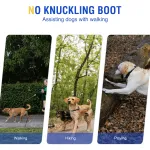 No Knuckling Boot Brace for Dogs