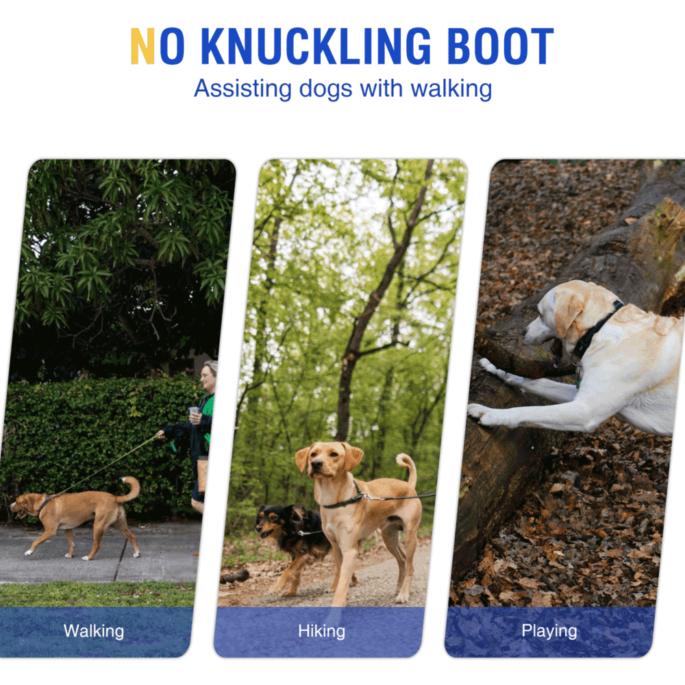 No Knuckling Boot Brace for Dogs