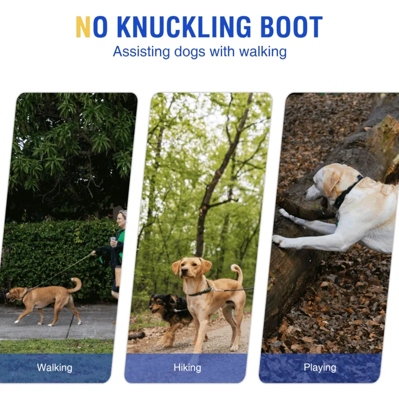 No Knuckling Boot Brace for Dogs