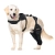 Dog ACL Knee Brace for Injury Recovery