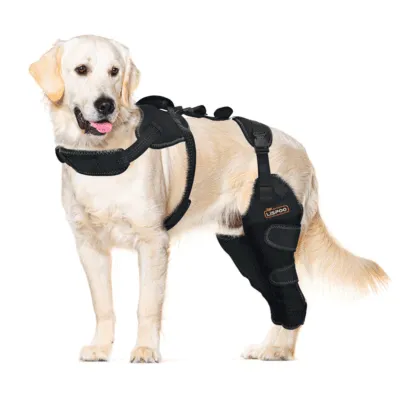 Dog ACL Knee Brace for Injury Recovery 01