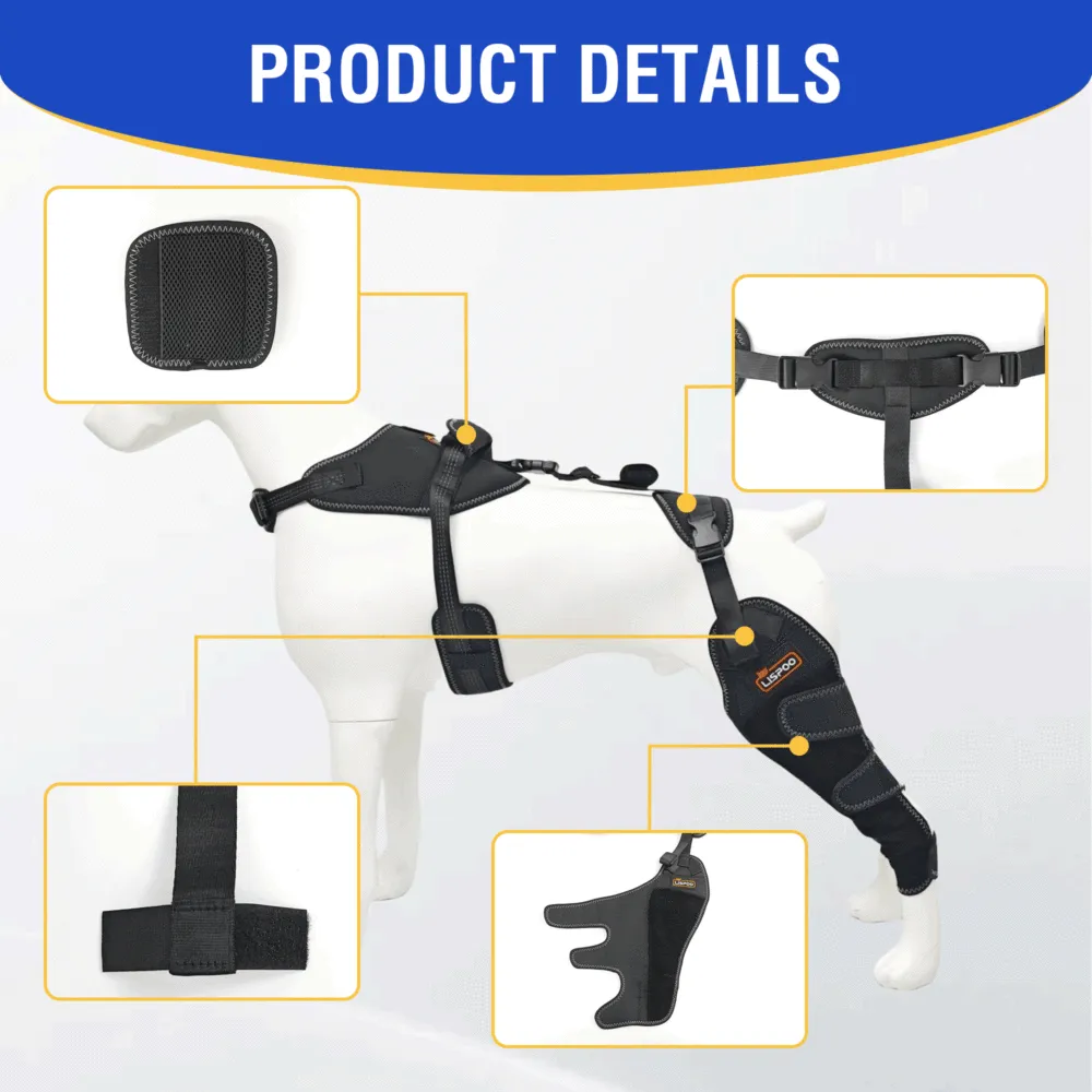 Dog ACL Knee Brace for Injury Recovery
