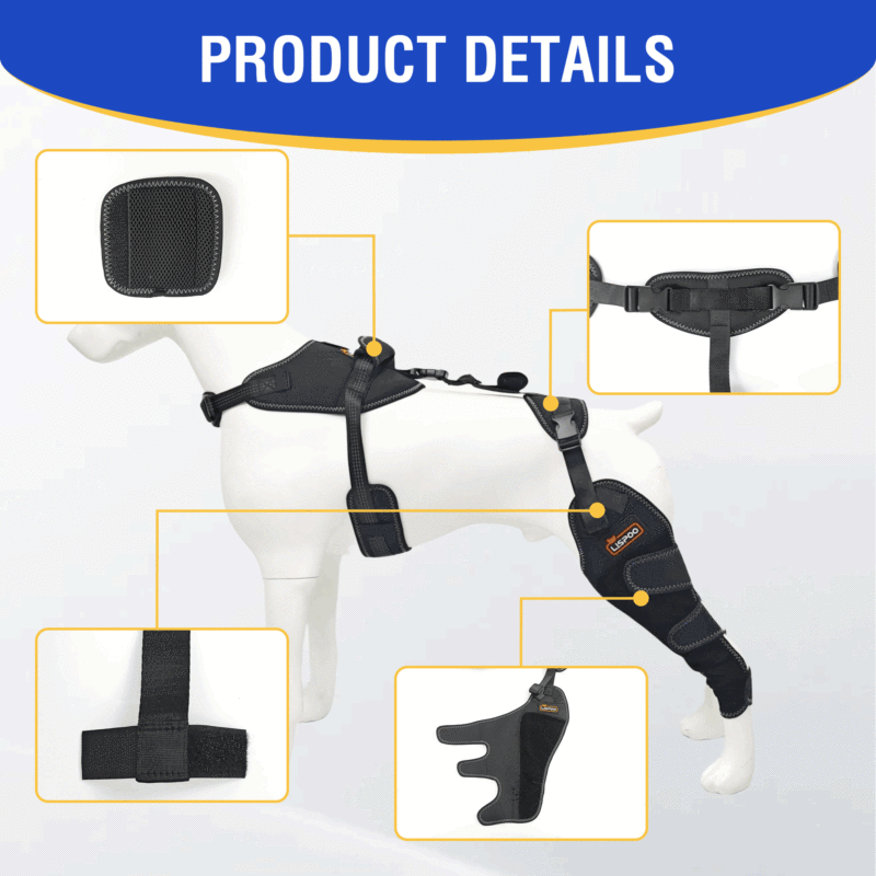 Dog ACL Knee Brace for Injury Recovery
