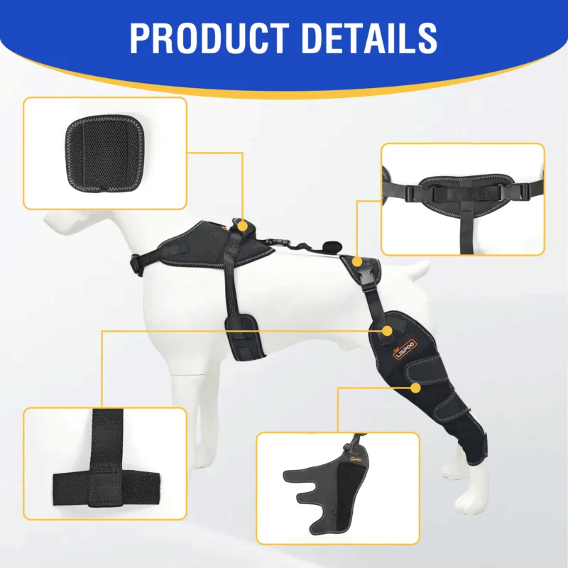 Dog ACL Knee Brace for Injury Recovery