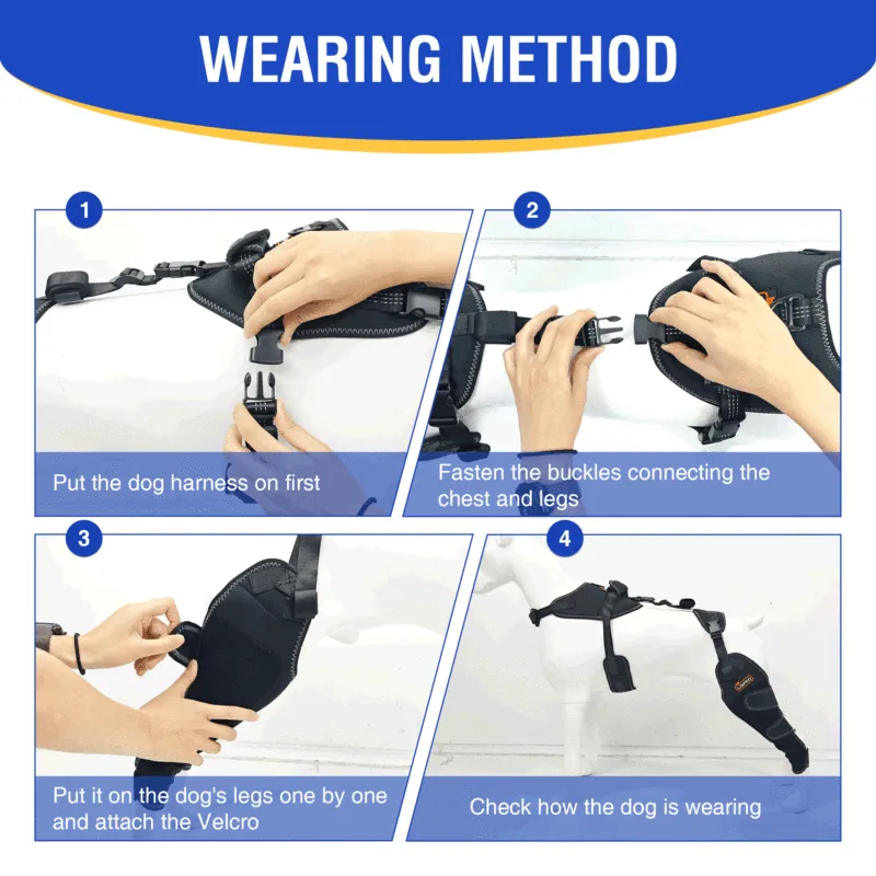 Dog ACL Knee Brace for Injury Recovery