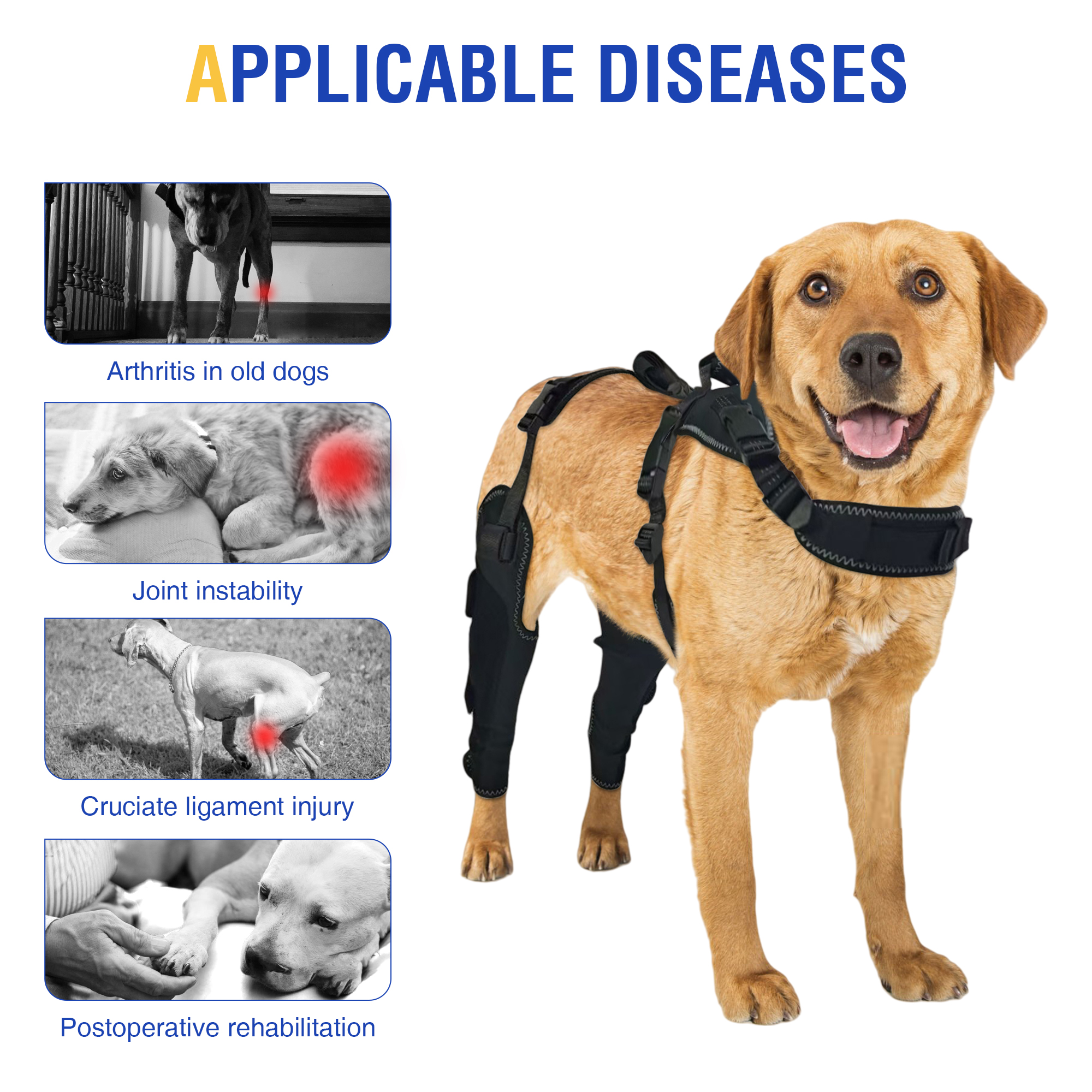 Dog ACL Knee Brace for Injury Recovery