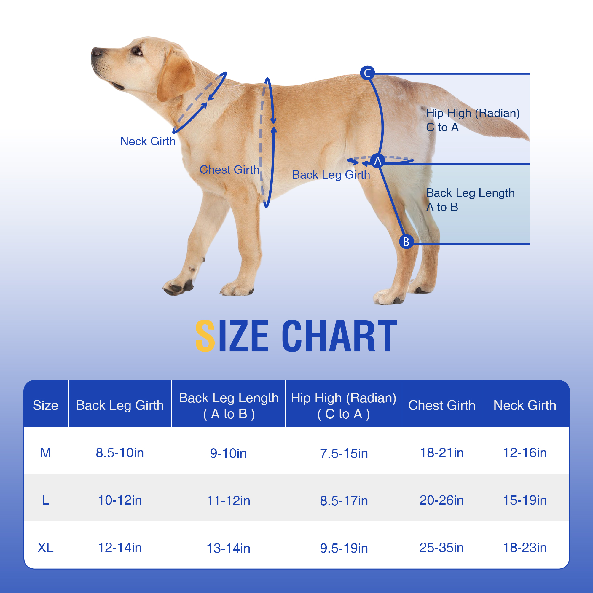 Dog ACL Knee Brace for Injury Recovery