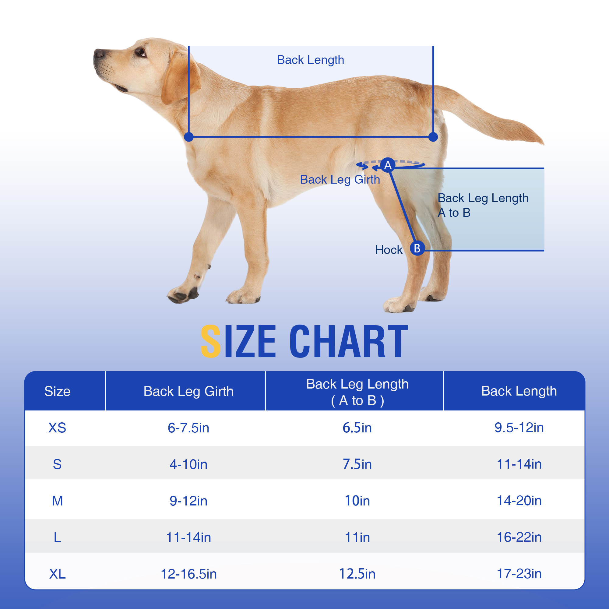 Dog Double Leg Brace