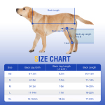 Dog Double Leg Brace
