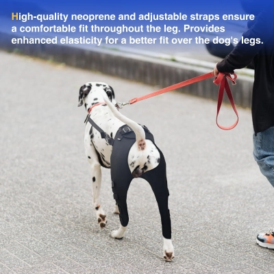 Dog Double Leg Brace 02