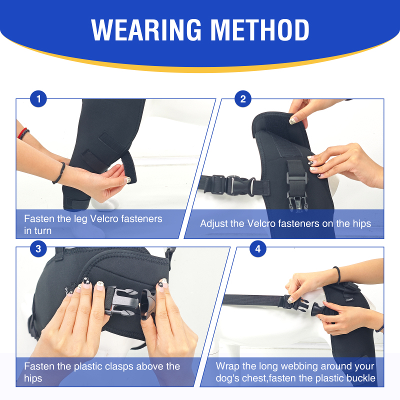 Dog Double Leg Brace