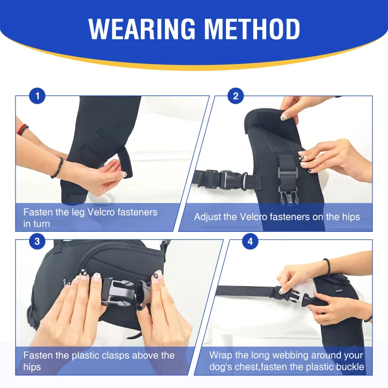 Dog Double Leg Brace