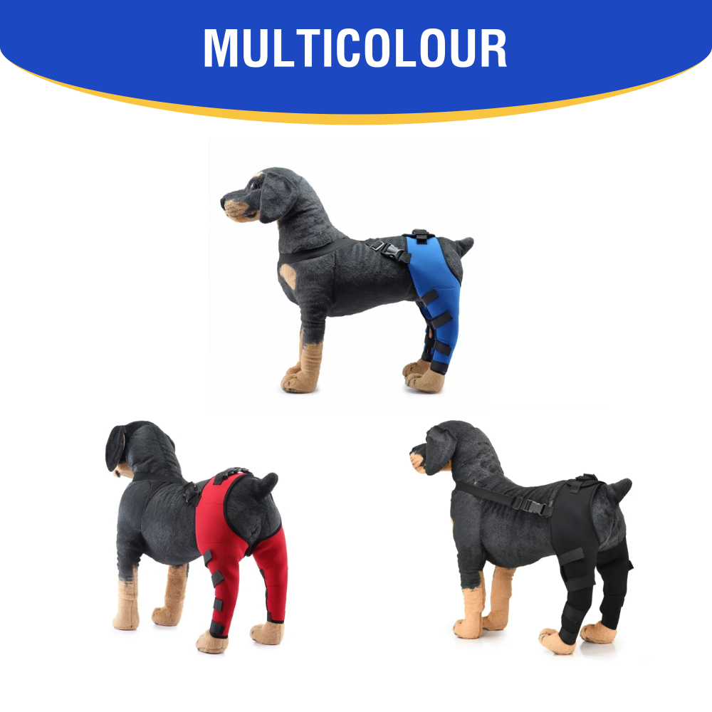 Dog Double Leg Brace
