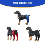 Dog Double Leg Brace