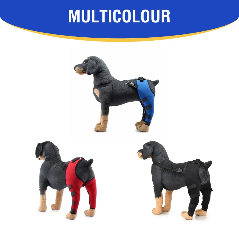 Dog Double Leg Brace