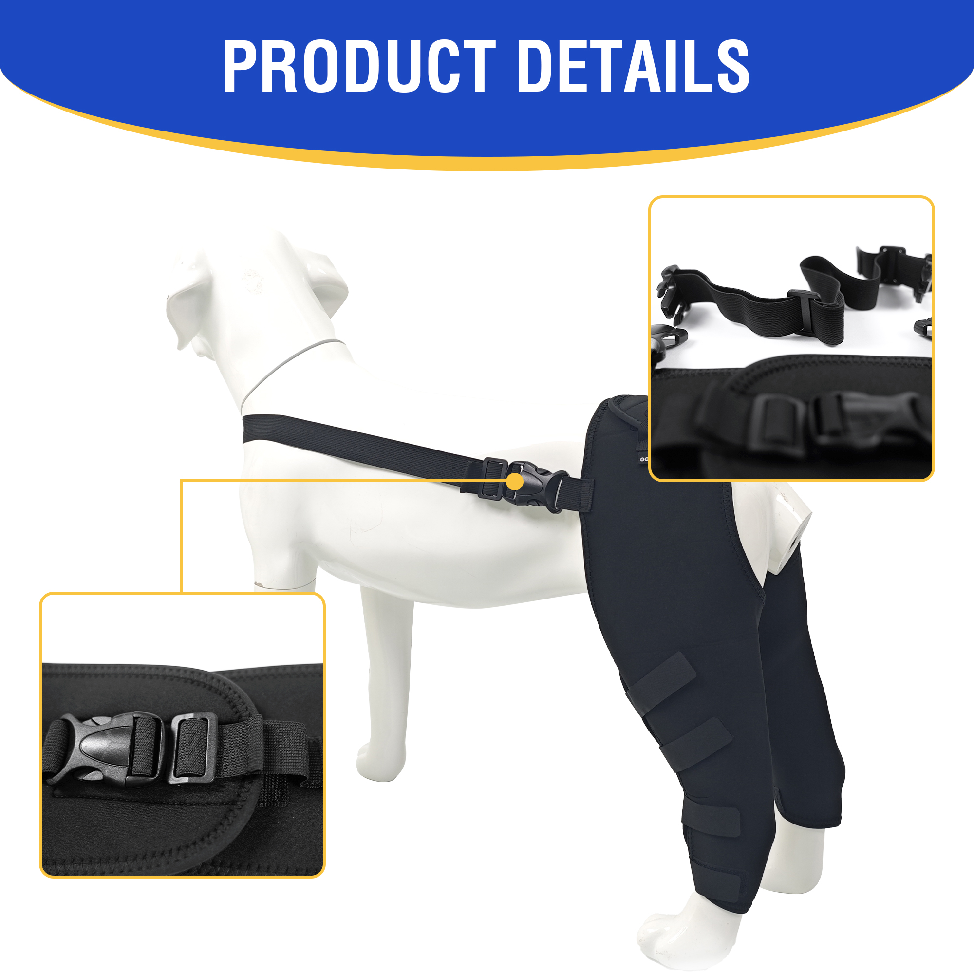 Dog Double Leg Brace