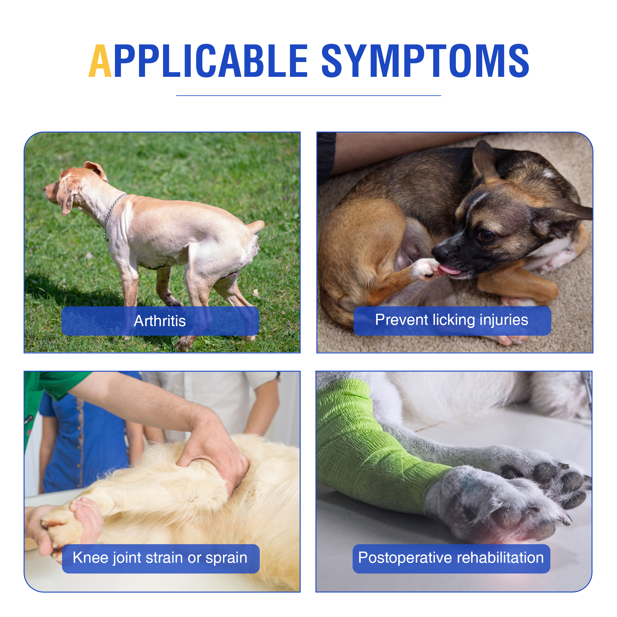 Dog Double Leg Brace