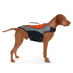 Durable Dog Life Jacket for Water Safety