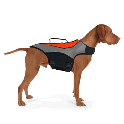 Durable Dog Life Jacket for Water Safety 01