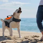 Durable Dog Life Jacket for Water Safety