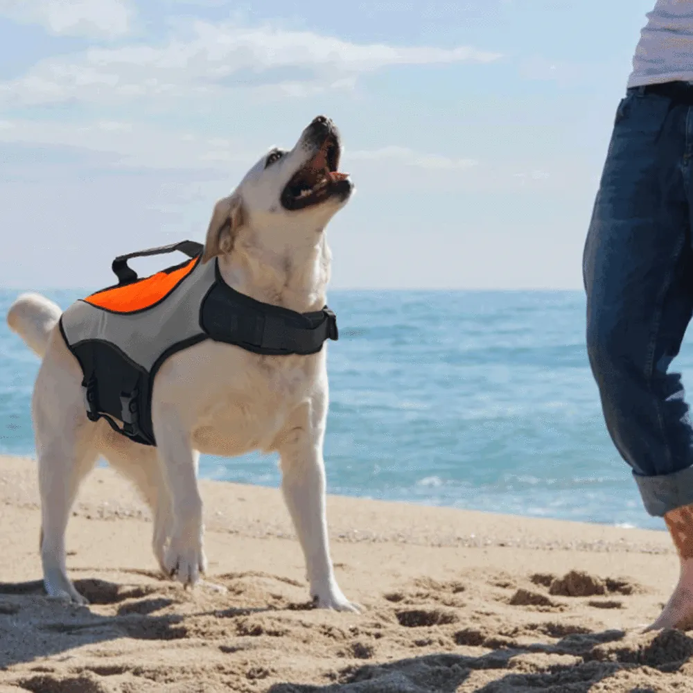 Durable Dog Life Jacket for Water Safety