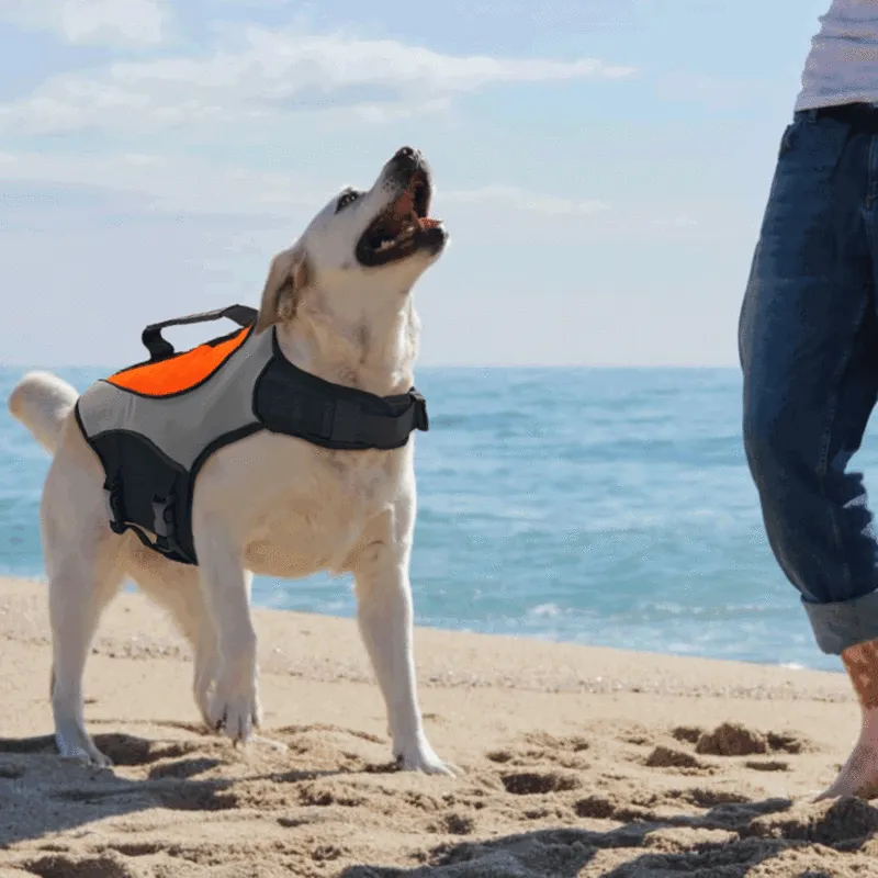 Durable Dog Life Jacket for Water Safety