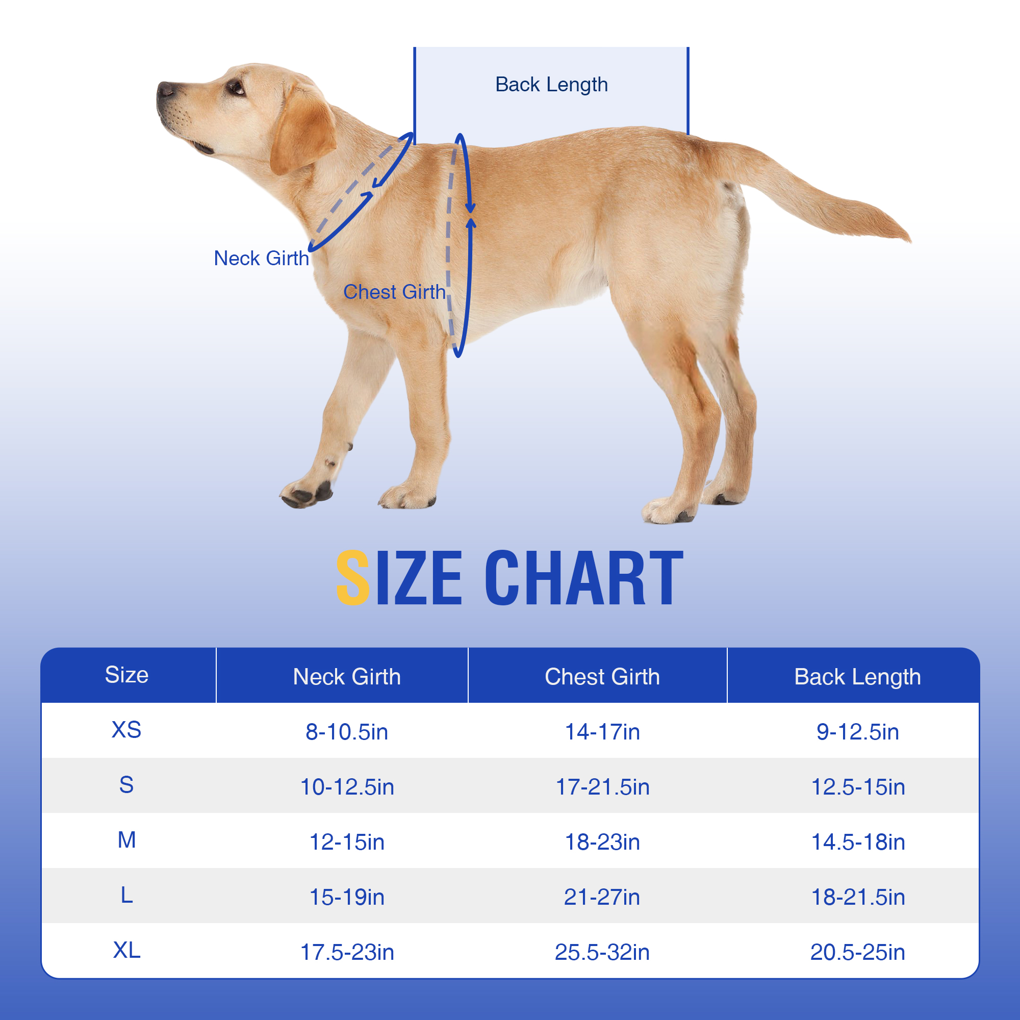 Durable Dog Life Jacket for Water Safety