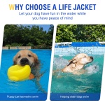 Durable Dog Life Jacket for Water Safety