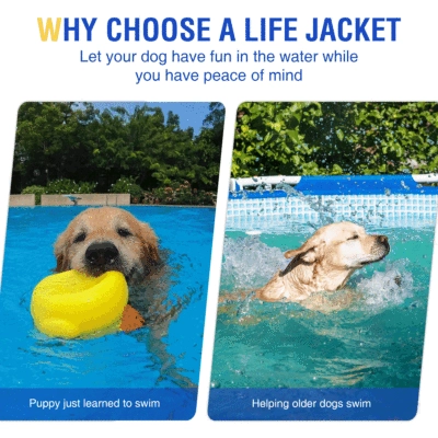 Durable Dog Life Jacket for Water Safety 02