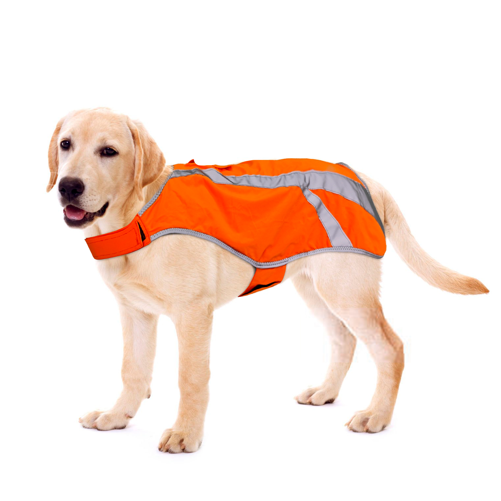 Multifunctional Dog Overalls