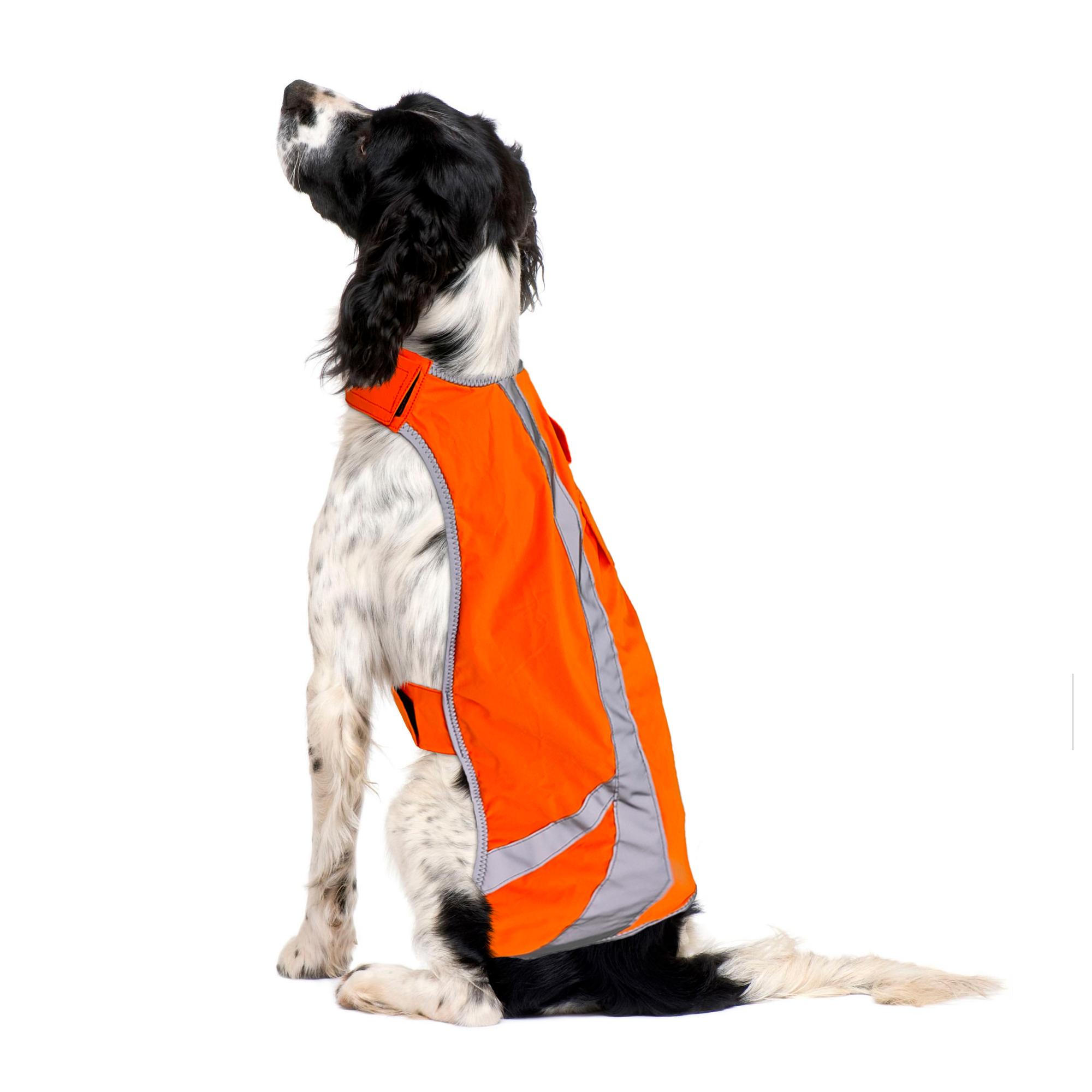 Multifunctional Dog Overalls