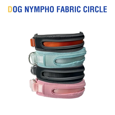 Nylon Webbing Dog Collar 01