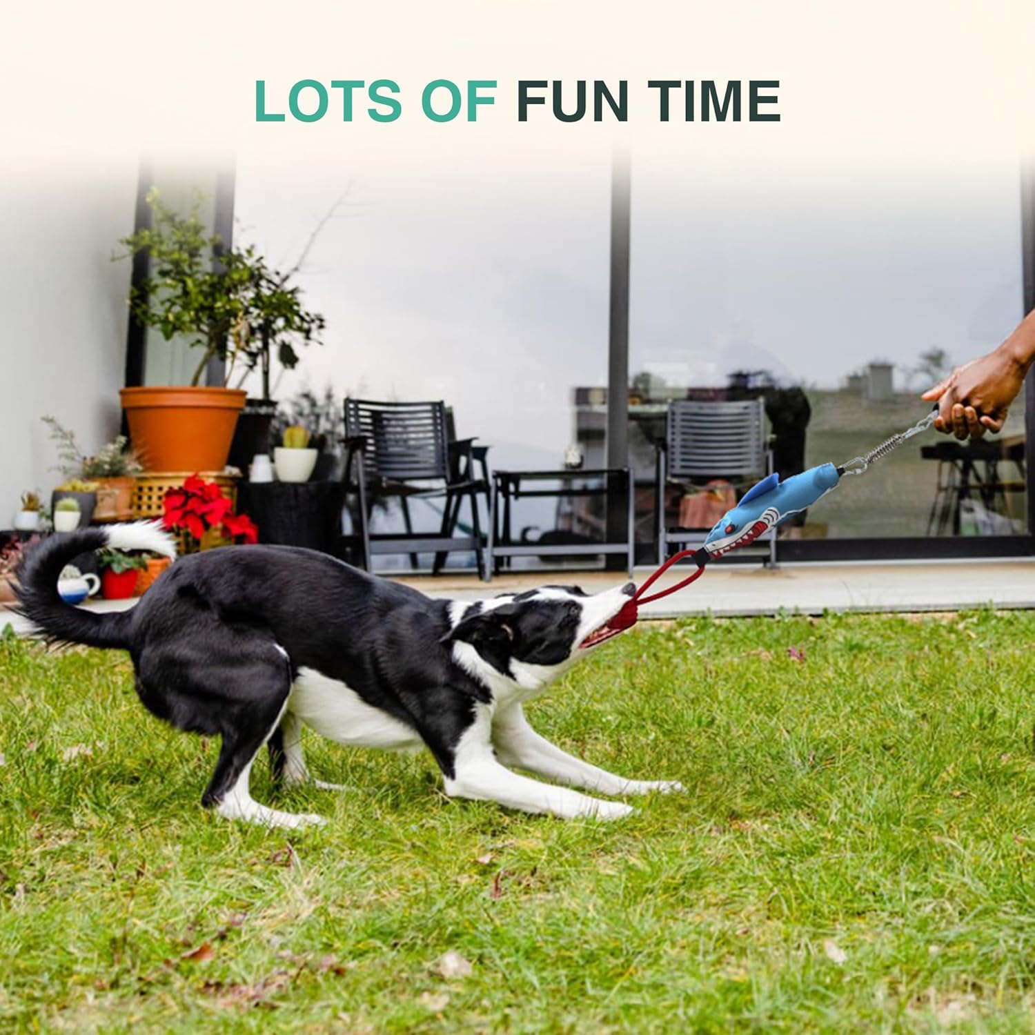 Dog Tug of War Interactive Toy