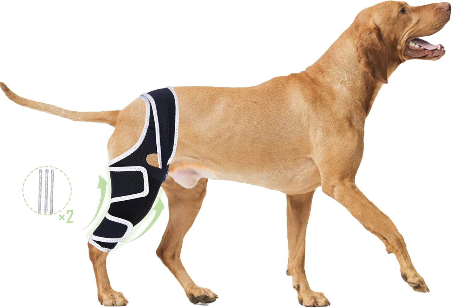 Dog Four-Legged Universal Arthritis Knee Brace
