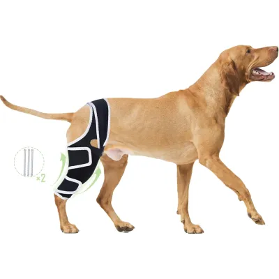 Dog Four-Legged Universal Arthritis Knee Brace 01