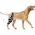 Dog Four-Legged Universal Arthritis Knee Brace