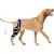Dog Four-Legged Universal Arthritis Knee Brace