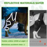 Dog Four-Legged Universal Arthritis Knee Brace