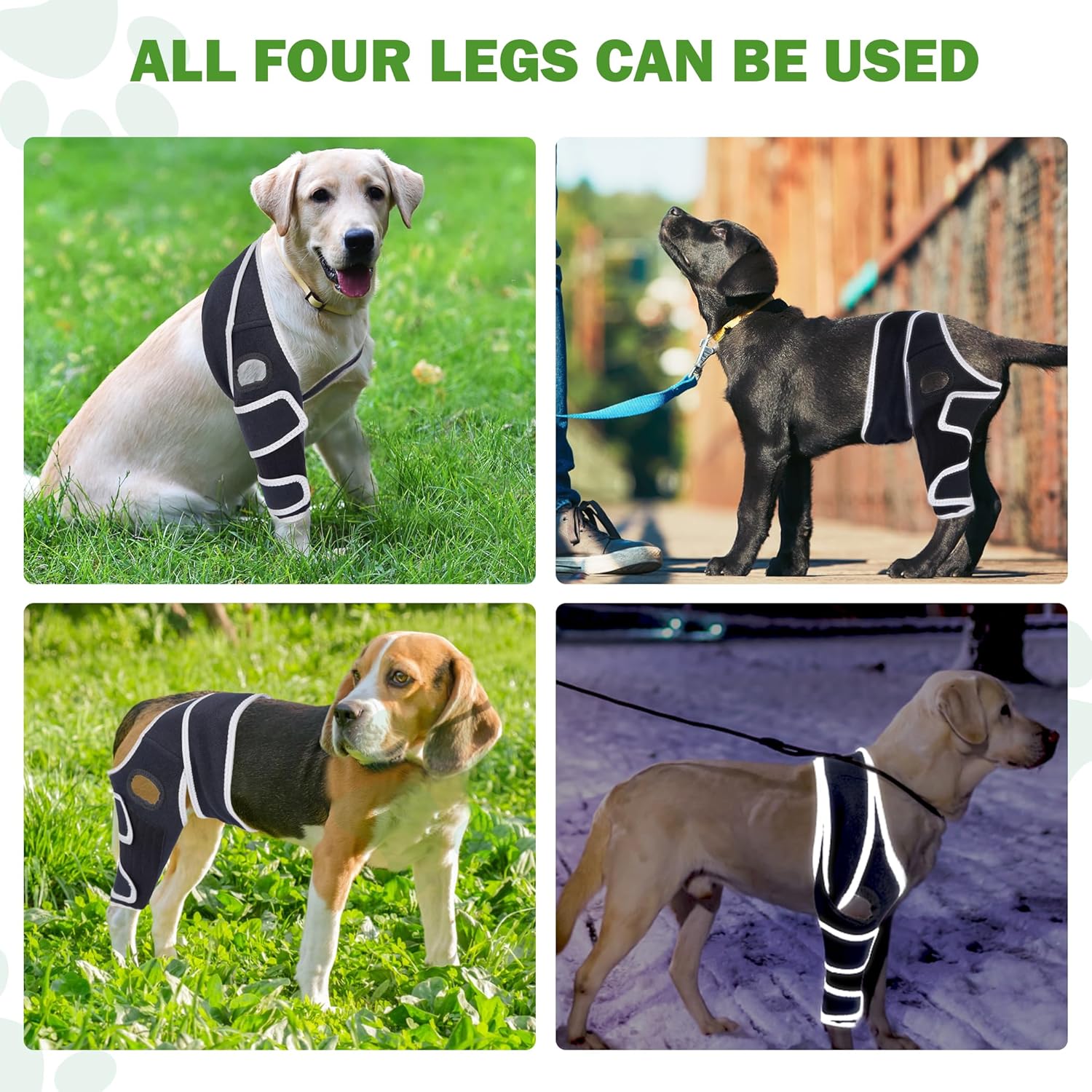 Dog Four-Legged Universal Arthritis Knee Brace