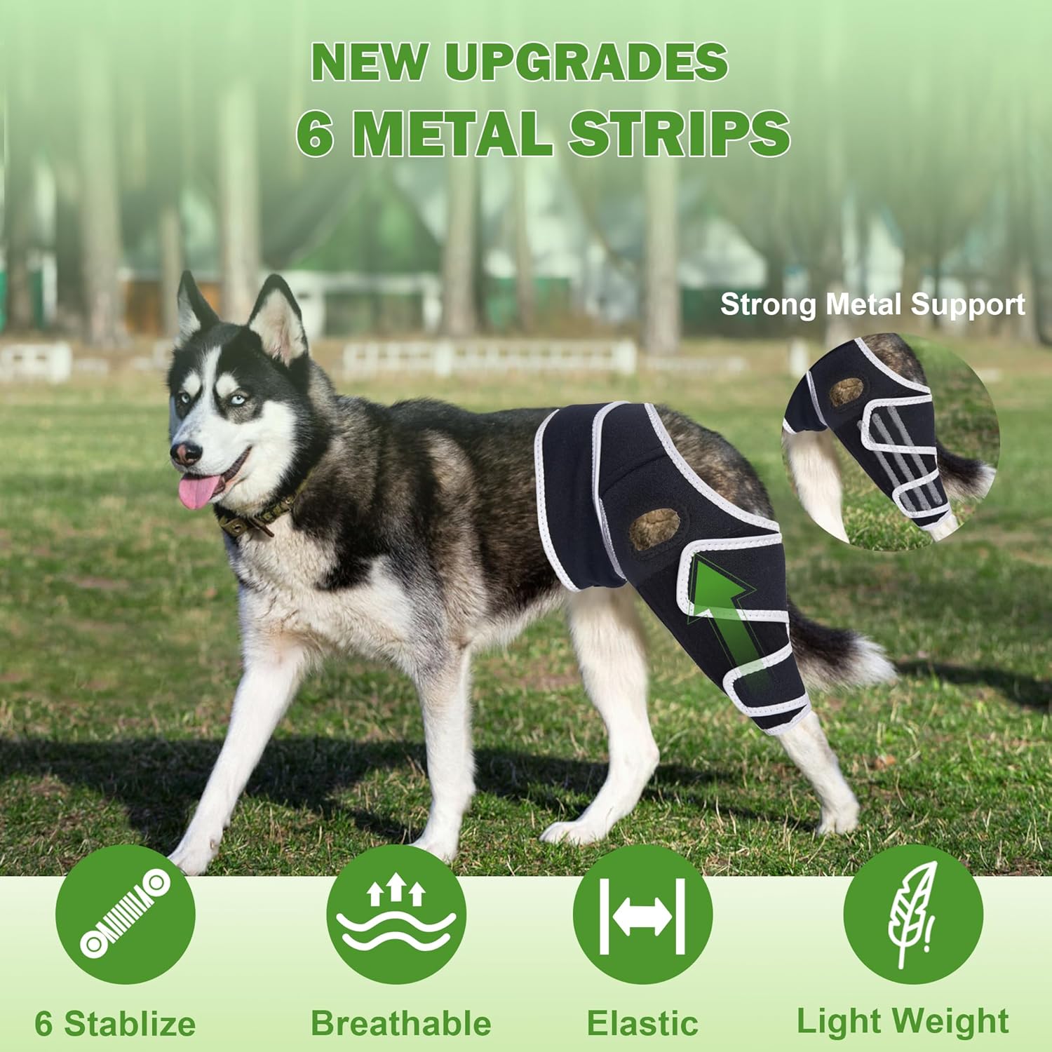 Dog Four-Legged Universal Arthritis Knee Brace