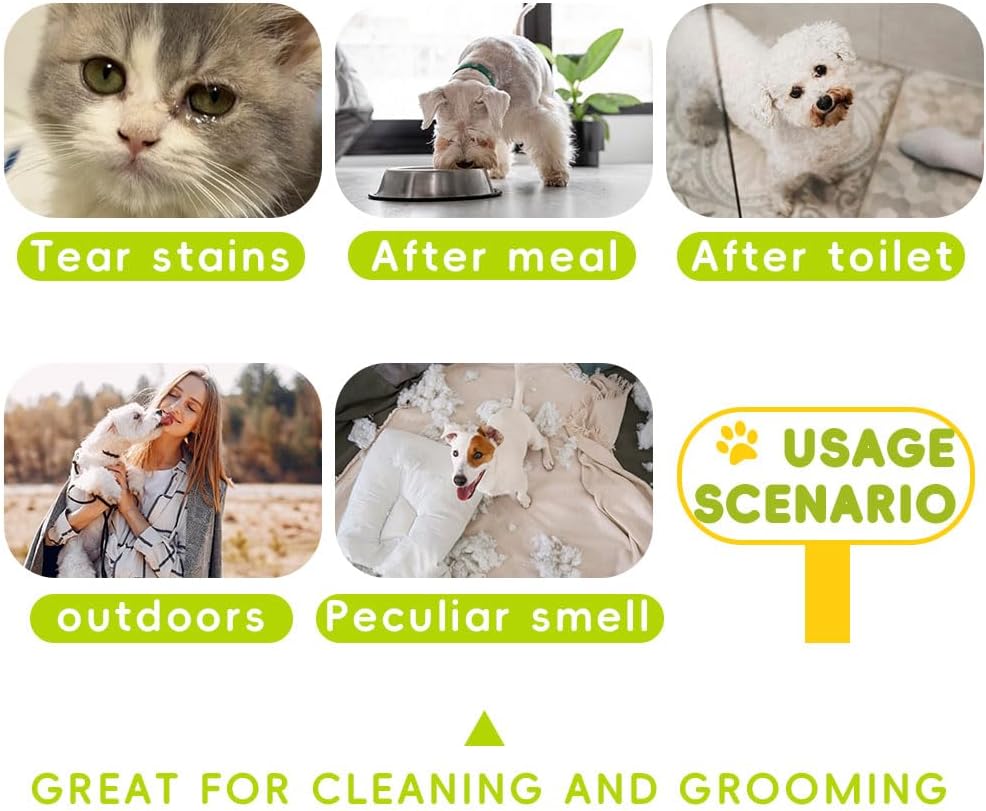 Gentle and Safe Pet Wipes for Cats and Dogs