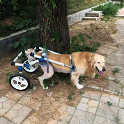 Fodable Large Dog Wheelchair for Back Legs review Jerry E. Semler