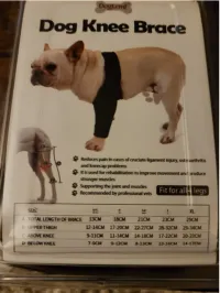 Dog Knee Brace For Torn Acl review 1