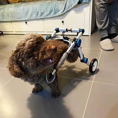 Fodable Rear Wheels for Small Dogs review 