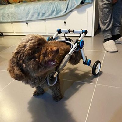 Fodable Rear Wheels for Small Dogs review